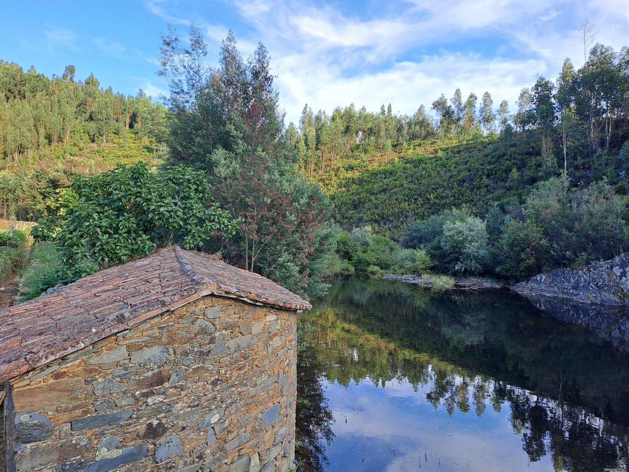 Bed and Breakfast Vista Castelo Sertã Esterno foto